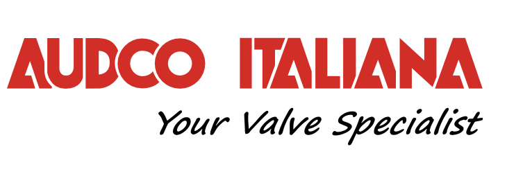 AUDCO ITALIANA